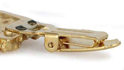 Mastif Francuski - klips - 2601 na Arena.pl