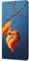 Obraz 40x90cm Ostatni Oddech Lata