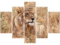 105CM 150CM OBRAZ 5 ELEM BELEZA FEANS DRUK