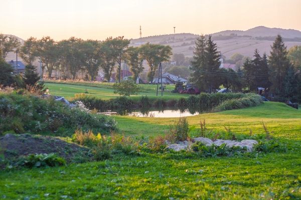 Olej z czarnuszki dla dzieci + Tran dla dzieci + syrop z jagody kamczackiej zdjęcie 2