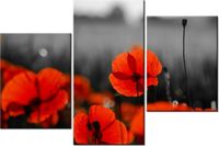 product-compare-58699423