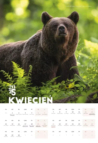 Kalendarz 2025 Bieszczady na Arena.pl
