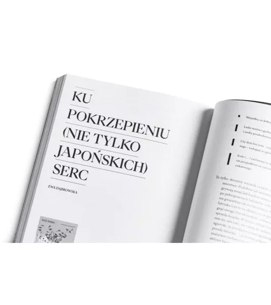 Notatnik Literacki. Nr 2-3 (7-8)/2025 zdjęcie 15
