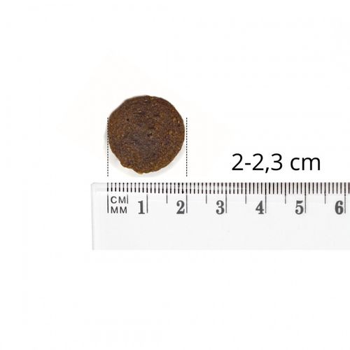 Baltica karma sucha ryba Light12 kg na Arena.pl