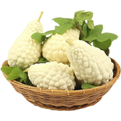 Nasiona Balsamka Ogórkowatej Biała 10 Sztuk Gorzki Melon Egzotyczne Warzywo