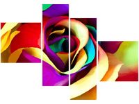 product-compare-58676949