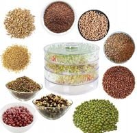 KIEŁKOWNICA 3 SZALKI + 10 opakowań nasion - KIEŁKI