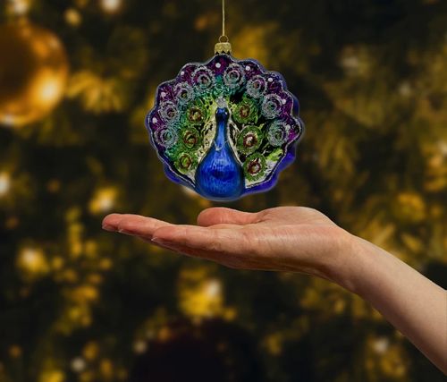 Paw Królewski na Arena.pl