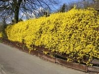 product-compare-61063137