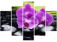 105CM 150CM OBRAZ 5 ELEM KAMIENIE STORCZYKI DRUK