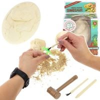 Szkielet Skamielina Jajo Dinozaura Wykopaliska dla Dzieci Mały Archeolog