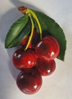 product-compare-61200945