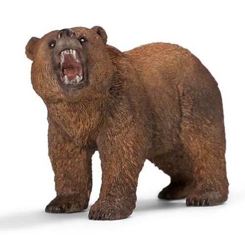 Niedzwiedź Grizzly na Arena.pl