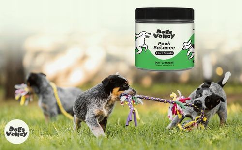 Suplementy dla psa - jelita stawy sierść skóra probiotyk - Witaminy 90szt na Arena.pl