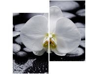 60X60CM BIAŁY STORCZYK DWU OBRAZ ŚCIAN