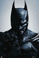 Batman Arkham Origins - plakat 61x91,5 cm