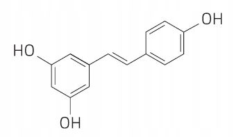 PROTON LABS RESVERATROL 99% czysty proszek | 15g resweratrol zdjęcie 11