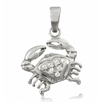 SREBRNY WISIOREK ZNAK ZODIAKU RAK PRÓBA SREBRA 925