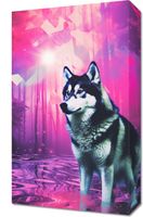 product-compare-59482865