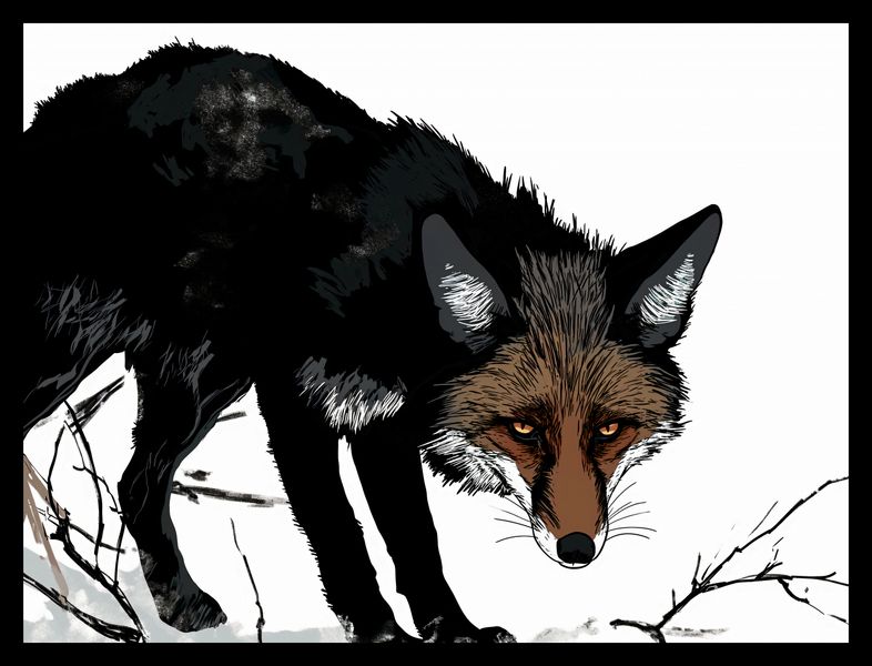 Plakat 40x30cm Nieufny Lis zdjęcie 2