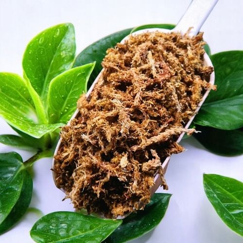 Mech Torfowiec SPHAGNUM 5L Podłoże do Ukorzeniania na Arena.pl