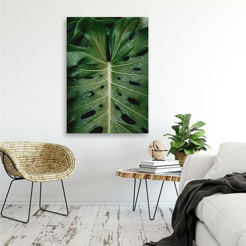 OBRAZ NA PŁÓTNIE Monstera Liśc Natura 40x60 na Arena.pl