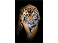 40X60CM TYGRYS OBRAZ