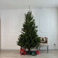 Stojak pod choinkę STABILNY PODSTAWA POD DRZEWKO ZIELONA DO 2 METRÓW