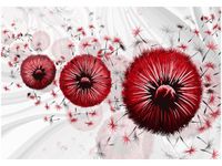 100 70CM OBRAZ PŁÓTNO CZERWONE DMUCHAWCE 5 PŁÓTNO RAMA