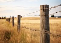 Plakat 66,5x46,5cm Płot na Polu