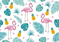 product-compare-62138200