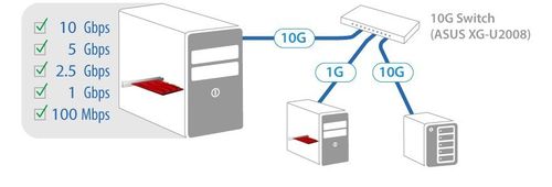 Asus PCIe Network Adapter XG-C100C na Arena.pl