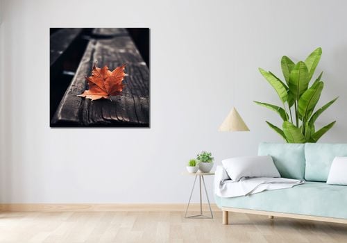 Obraz 90x90cm Pojedynczy Liść na Arena.pl
