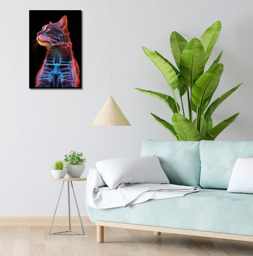 Plakat 40x60cm Anatomia Kota na Arena.pl