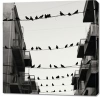 Obraz 90x90cm Miejski Motyw z Ptakami