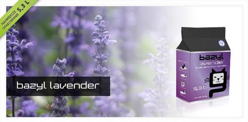 BAZYL Compact 5,3l na Arena.pl