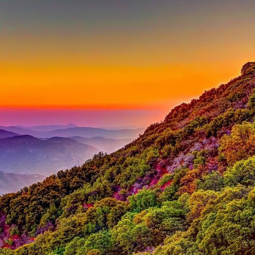 Deco Panel, Kolorowe wzgórze 60x40 na Arena.pl