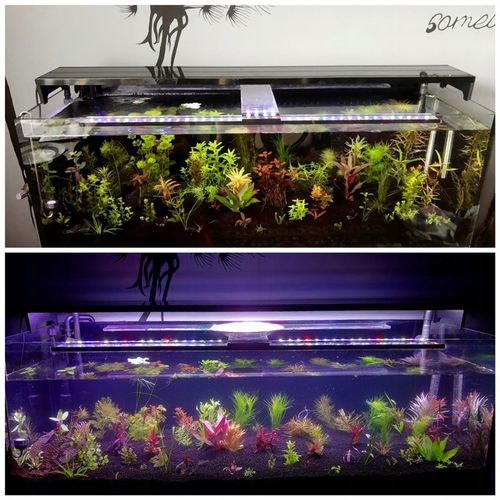 LAWA LAWA WULKANICZNA 2-8 mm 25 kg ŻWIREK AKWARIUM NA DNO na Arena.pl