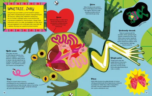 Wnętrza zwierząt na Arena.pl