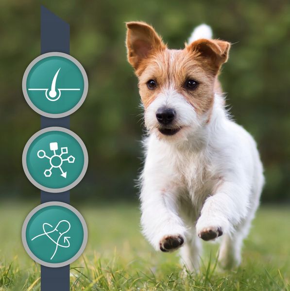 Vetexpert VetoSkin SMALL 60 kaps zdjęcie 3