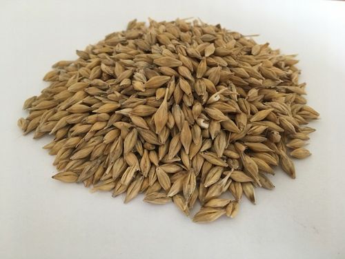 Pasza karma ziarna dla kur niosek bez GMO susz marchew pokrzywa NATURALNA na Arena.pl