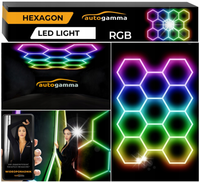 Modułowy System Oświetlenia Garaż HEXAGON LED RGB + 6000K + Pilot 220x305cm