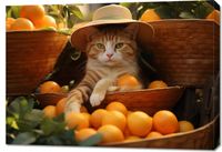 Obraz 100x70cm Letni Odpoczynek