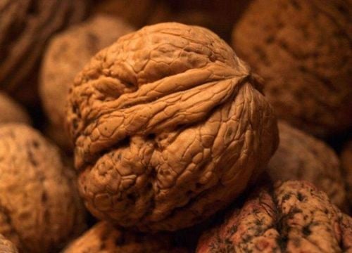 Orzech włoski JACEK KRÓLEWSKI Juglans regia o ogromnych smacznych na Arena.pl