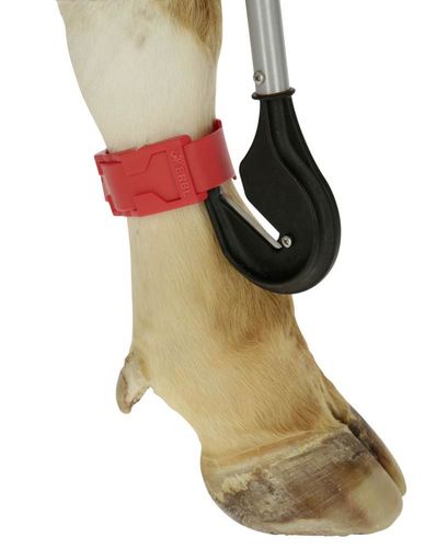 Nóż do bandaży, 80 cm, Kerbl na Arena.pl