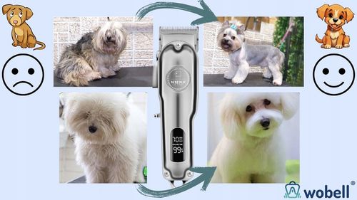 Maszynka do strzyżenia zwierząt dla psa kota golarka cicha profesjonalna na Arena.pl