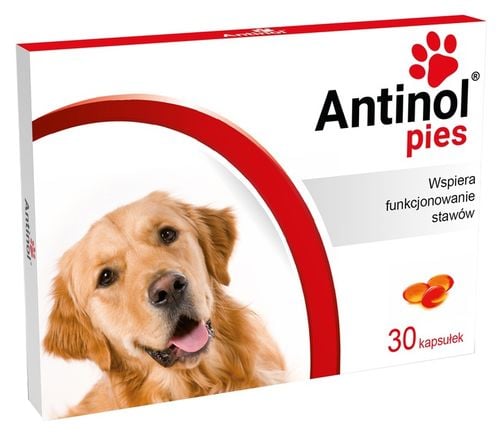 Antinol Sizarol 30 tab. + Przysmak na Arena.pl