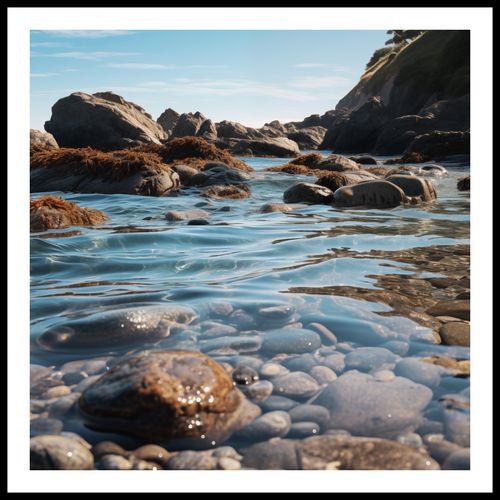 Plakat 90x90cm Harmonia Przybrzeżna na Arena.pl