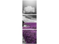 90X30CM LAWENDA TRÓJ OBRAZ DRUK