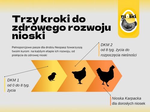 Pasza dla kur niosek NEOPASZ Nioska Karpacka GRANULAT 25 KG na Arena.pl